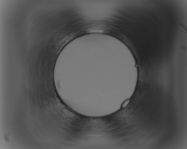 X0000103240385200809251332