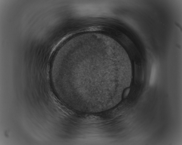 X0000103240387200809251332