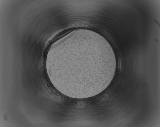 X0000103240388200809251332