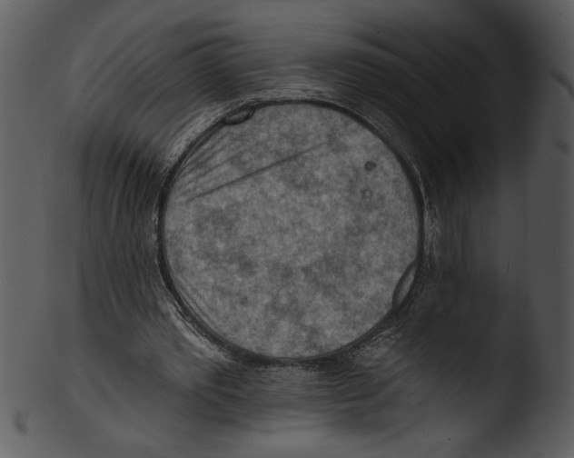 X0000103240389200809251332