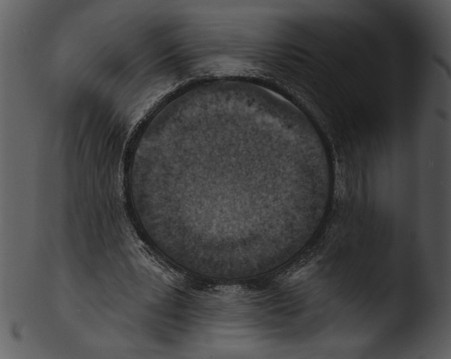 X0000103240391200809251332