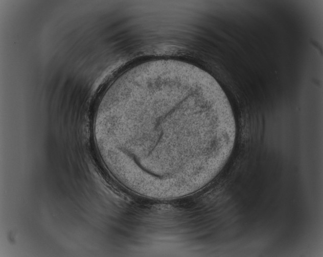 X0000103240392200809251332