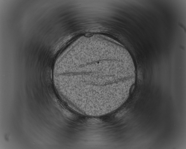 X0000103240397200809251332