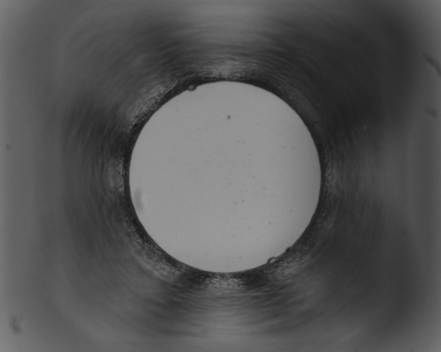 X0000103240403200809251332