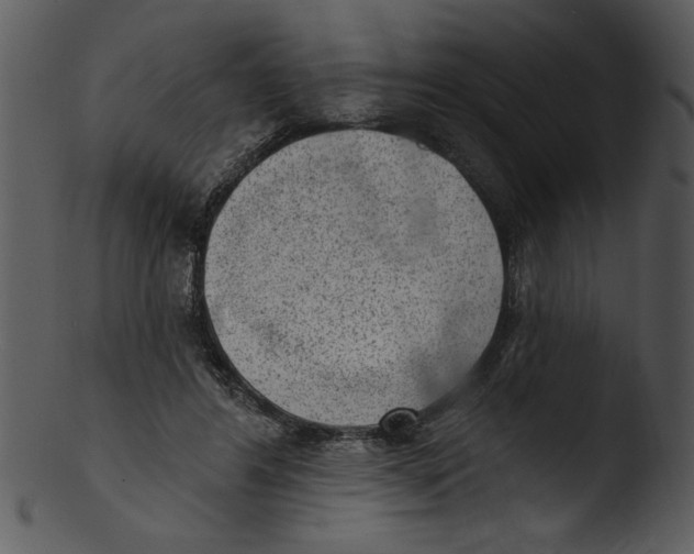 X0000103240404200809251332