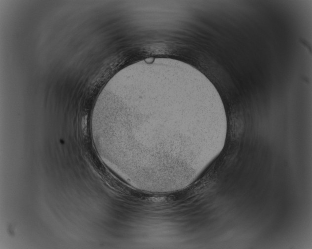 X0000103240406200809251332