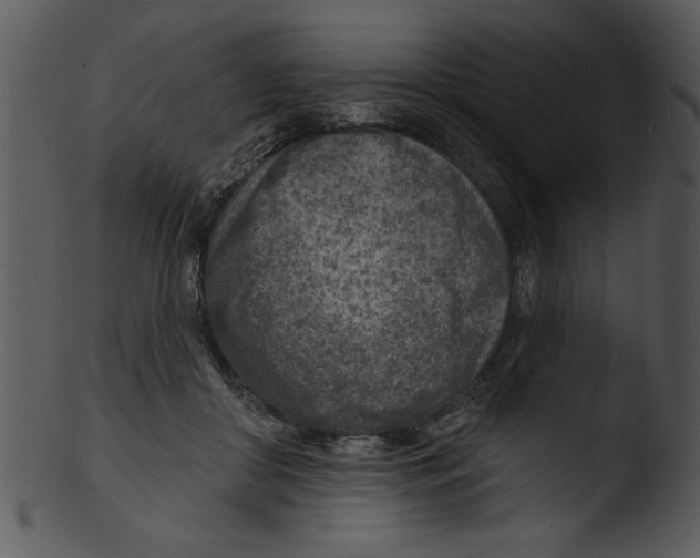 X0000103240410200809251332