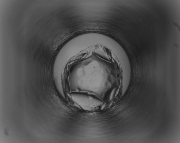 X0000103240411200809251332