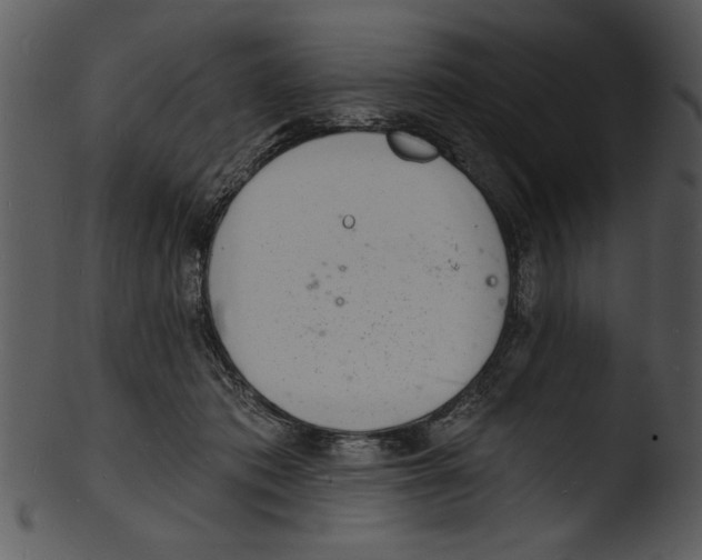 X0000103240413200809251332