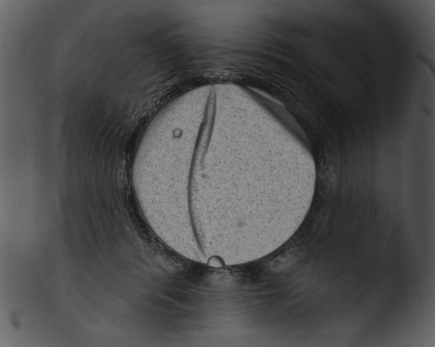 X0000103240416200809251332