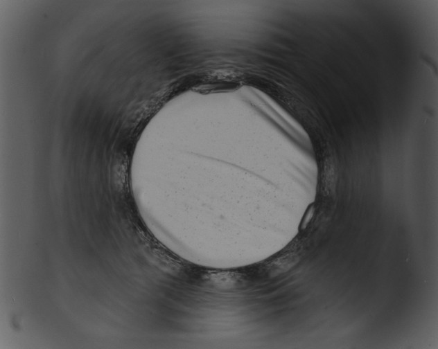 X0000103240417200809251332