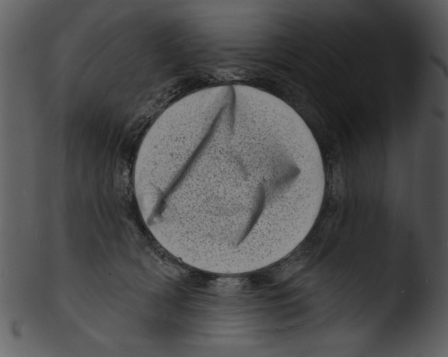 X0000103240418200809251332