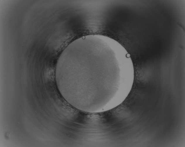 X0000103240419200809251332