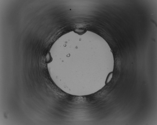 X0000103240421200809251332