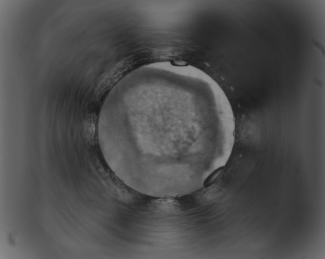 X0000103240427200809251332