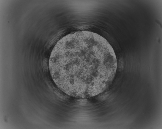 X0000103240428200809251332