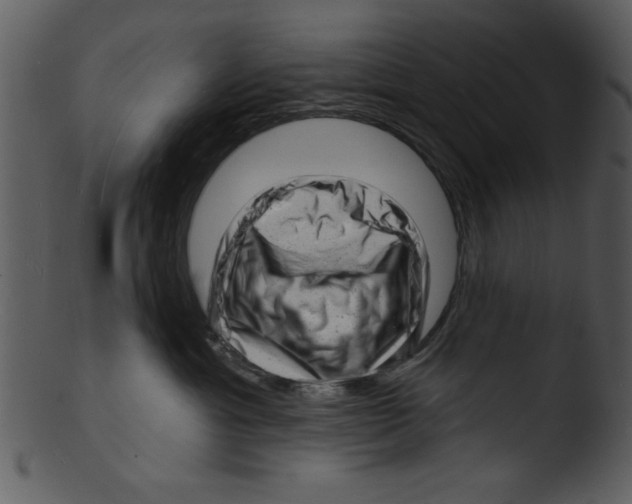 X0000103240429200809251332