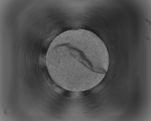 X0000103240432200809251332