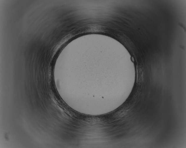 X0000103240435200809251331