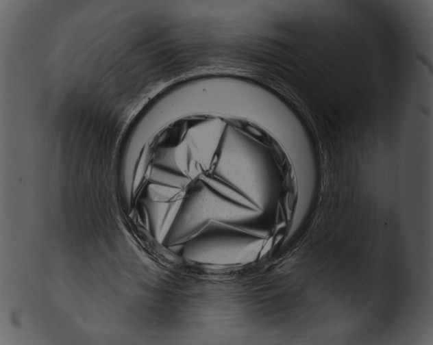 X0000103240436200809251331