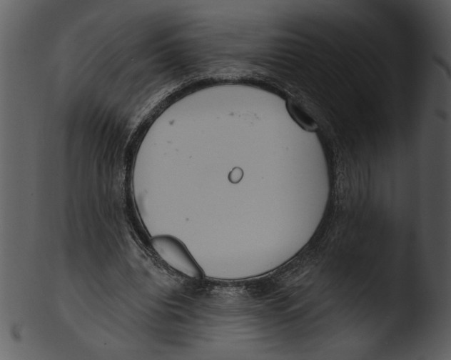 X0000103240440200809251331