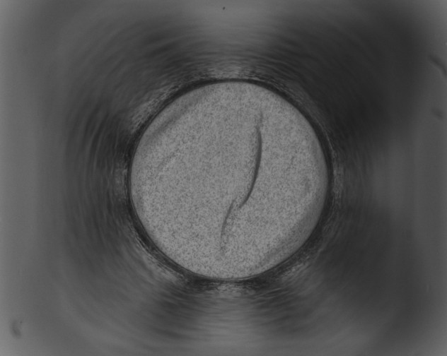 X0000103240441200809251331