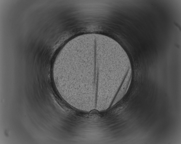 X0000103240443200809251331