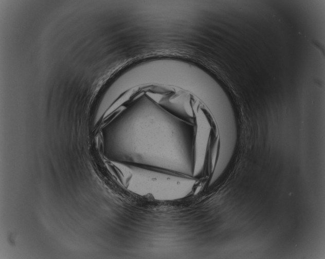 X0000103240444200809251331