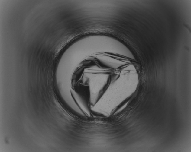 X0000103240448200809251331