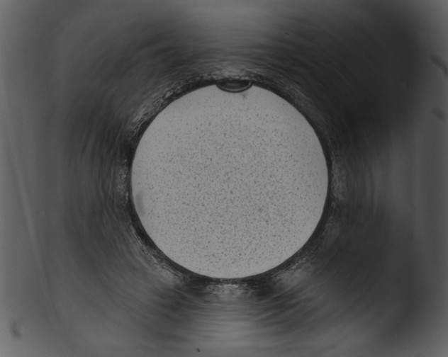 X0000103240449200809251331