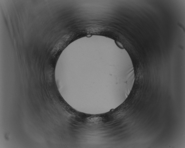 X0000103240452200809251331