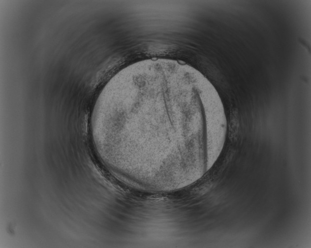 X0000103240454200809251331