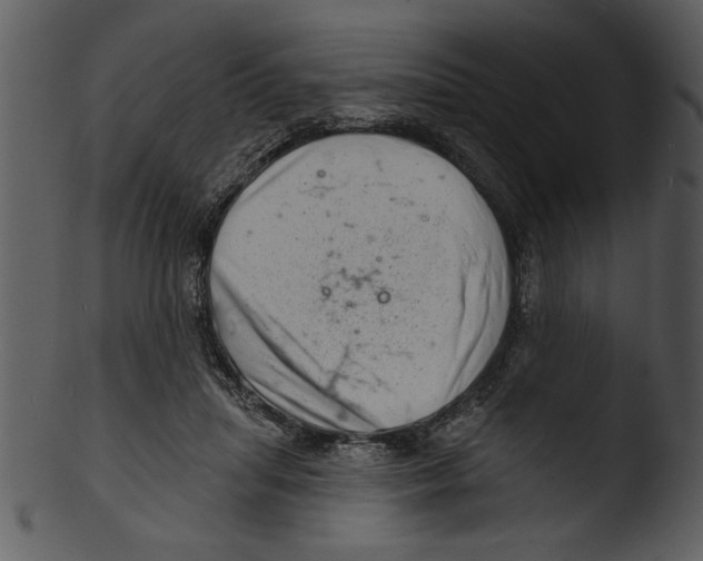 X0000103240455200809251331