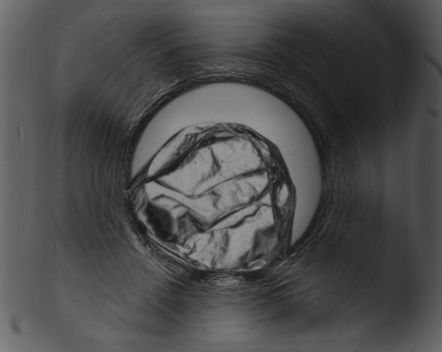 X0000103240456200809251332