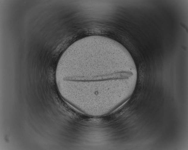 X0000103240457200809251332