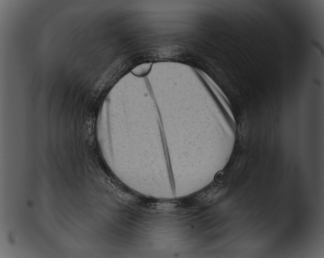 X0000103240462200809251332