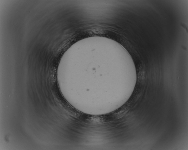 X0000103240464200809251332