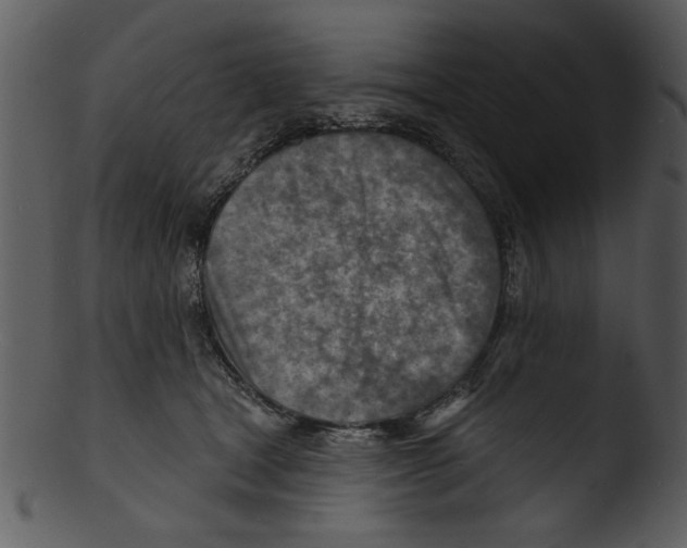 X0000103240465200809251332