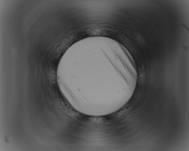 X0000103240469200809251332