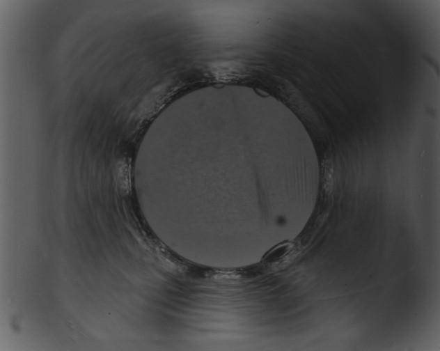 X0000103240471200809251332