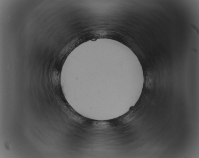 X0000103240476200809251332