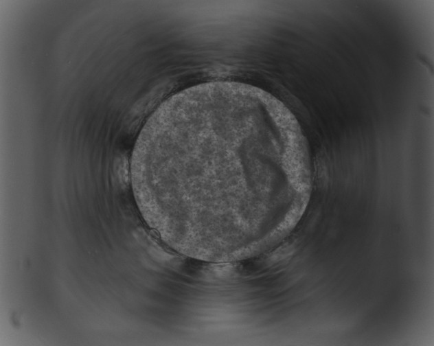 X0000103240479200809251332