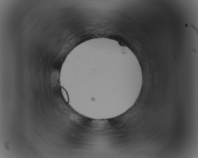 X0000103240480200809251332