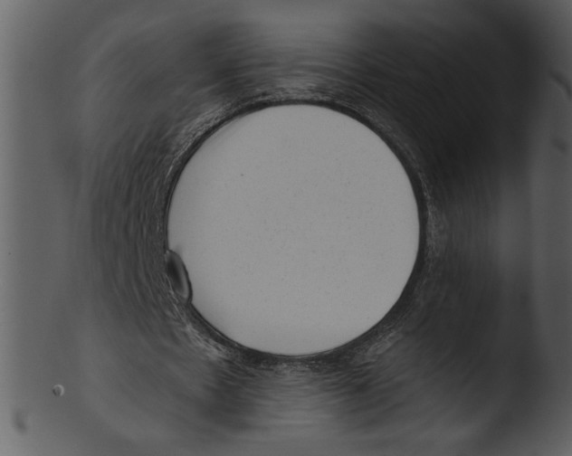 X0000103240481200809251331