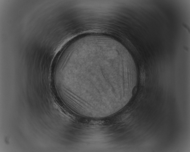 X0000103240484200809251331