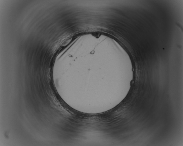 X0000103240485200809251331