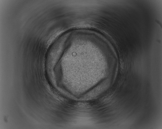 X0000103240487200809251331