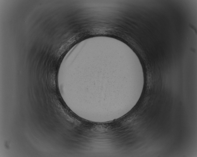 X0000103240489200809251331