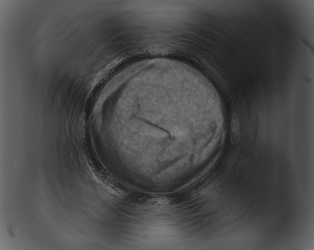 X0000103240492200809251331