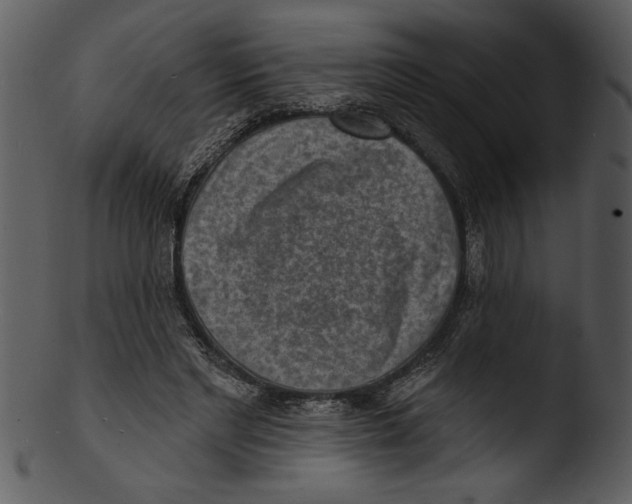 X0000103240493200809251331